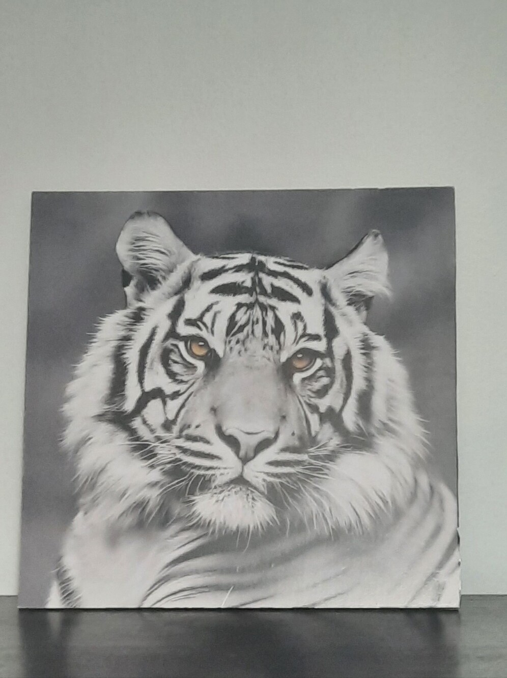 Monochrome Tiger Canvas Wall Art - Black & White